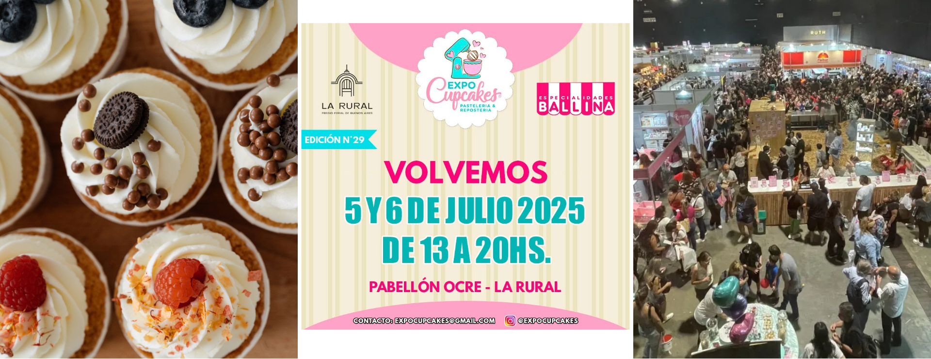 Expo Cupcakes
