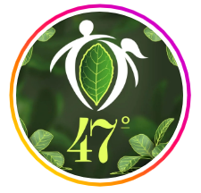 logo Fiesta Nacional e Internacional de la Yerba Mate