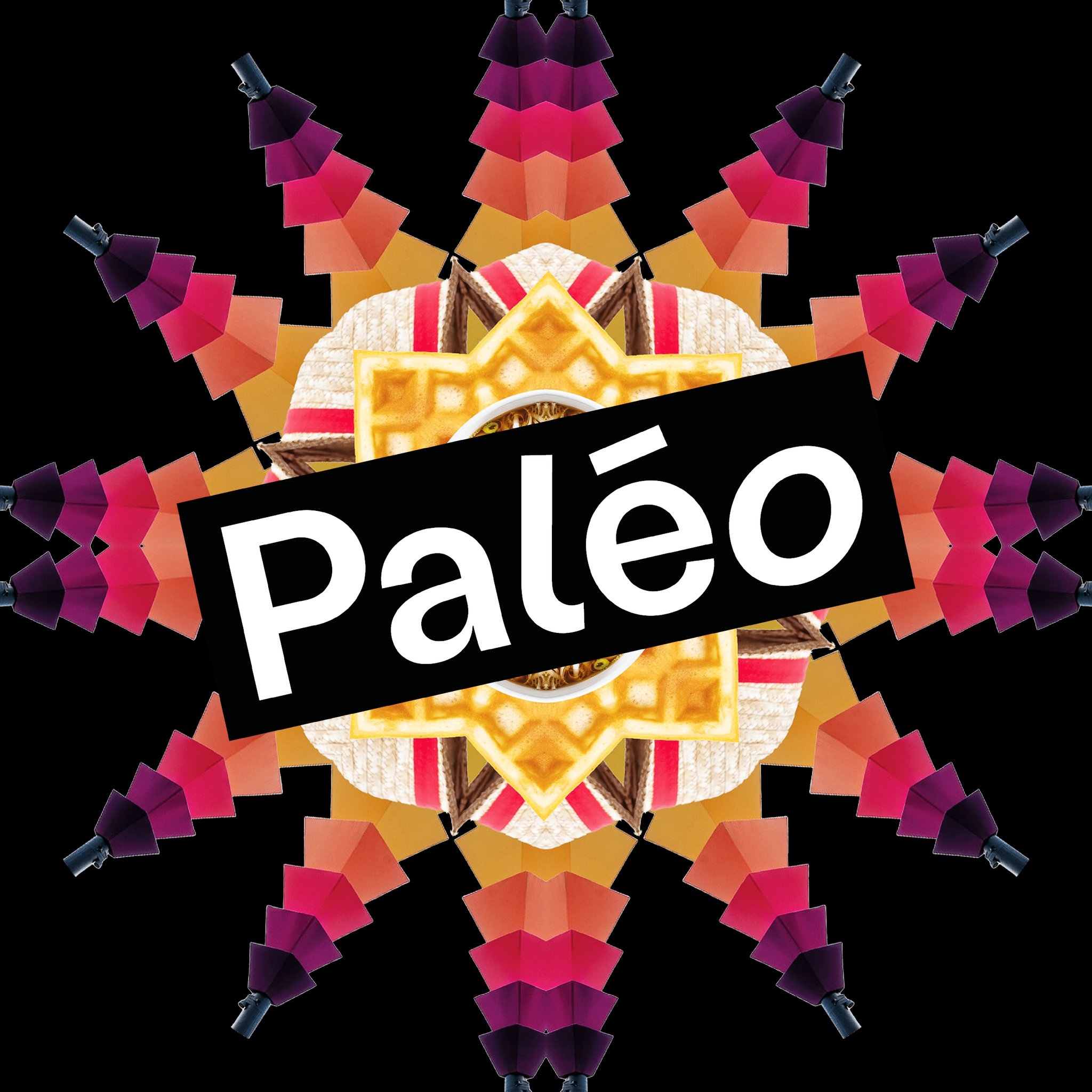 logo Festival Paléo