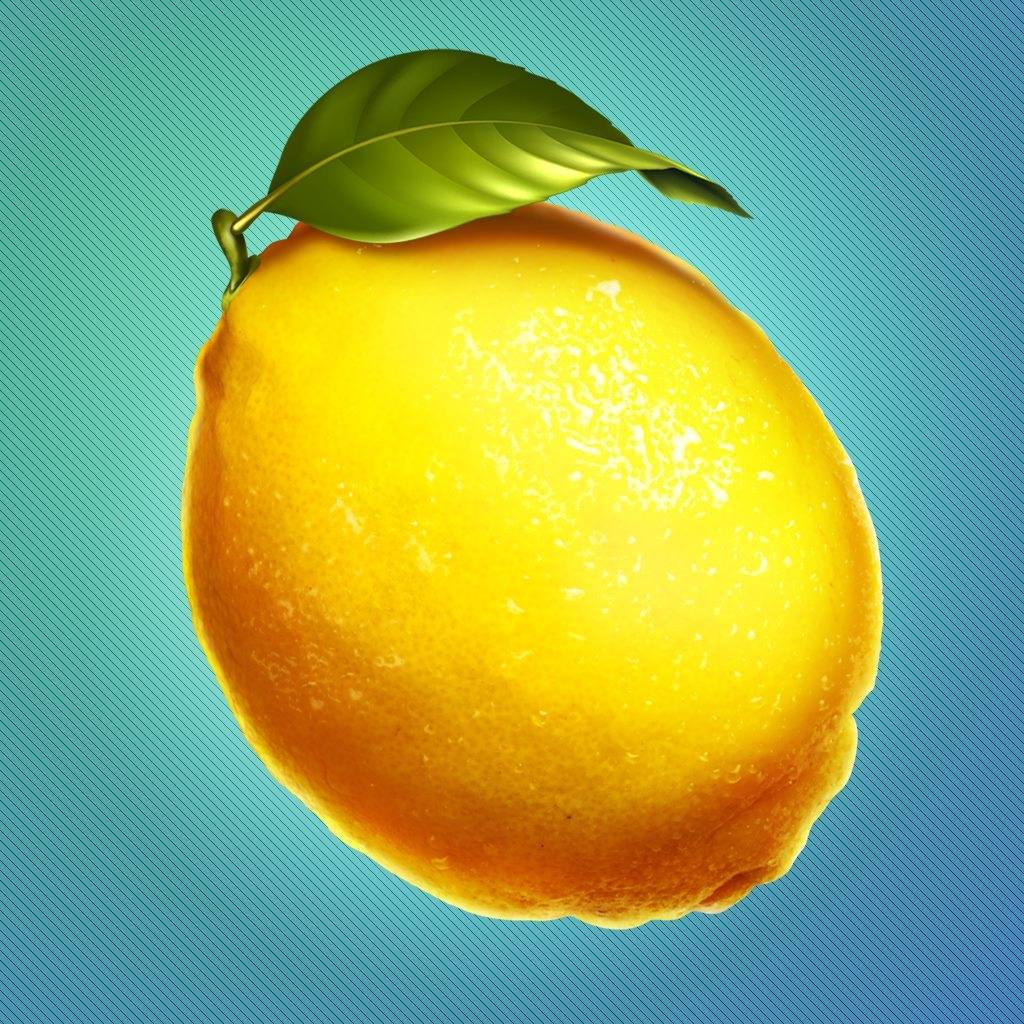 logo Fiesta del Limón
