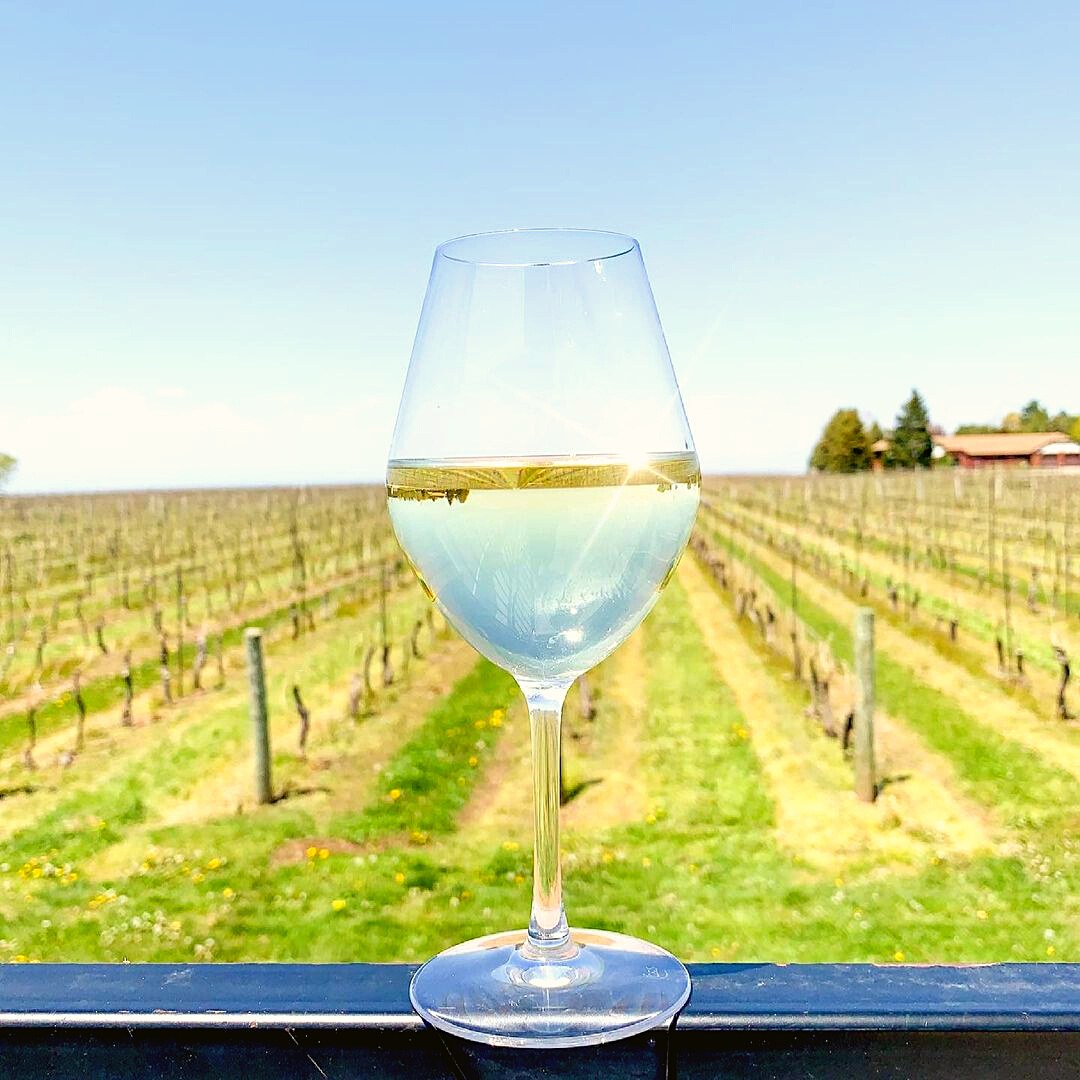 bpof Niagara Grape & Wine Festival